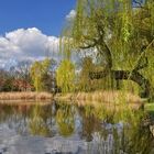 Frühling am Dorfteich........