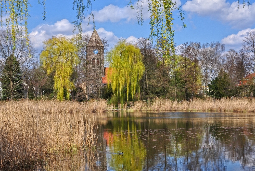 Frühling am Dorfteich...