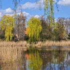 Frühling am Dorfteich...