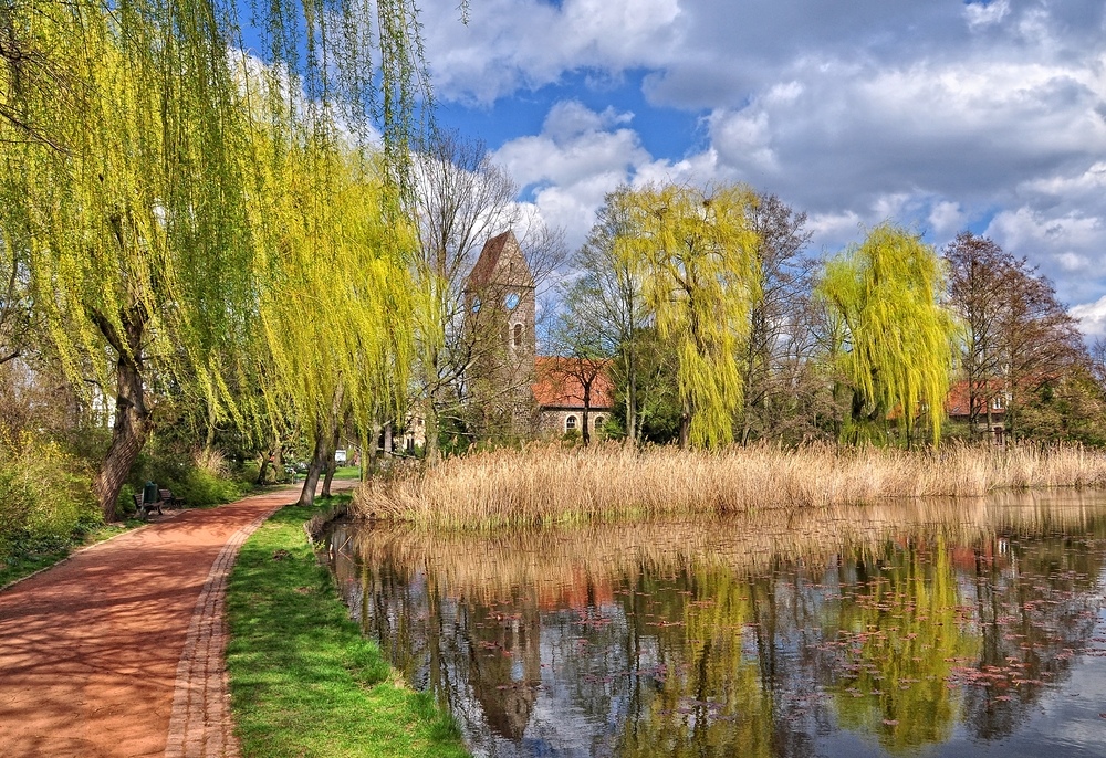 Frühling am Dorfteich.....