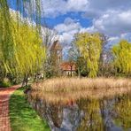 Frühling am Dorfteich.....