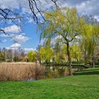 Frühling am Dorfteich......