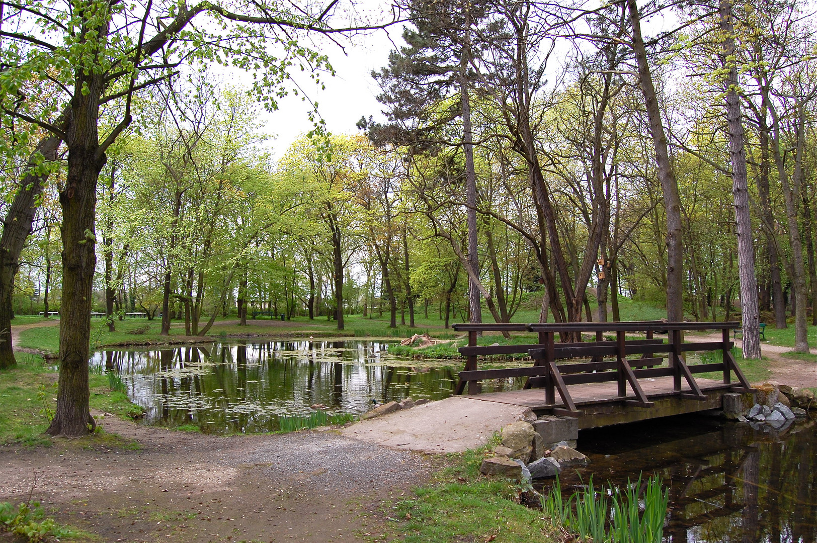 Frühling am Dorfteich von Miltitz