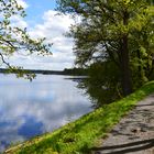 Frühling am Dreifelder Weiher