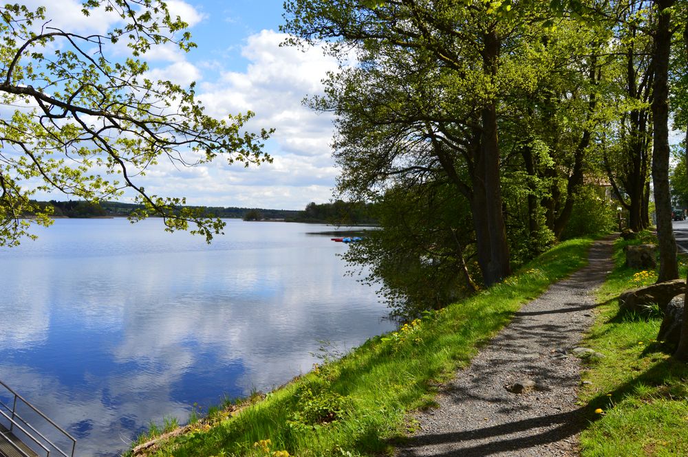 Frühling am Dreifelder Weiher