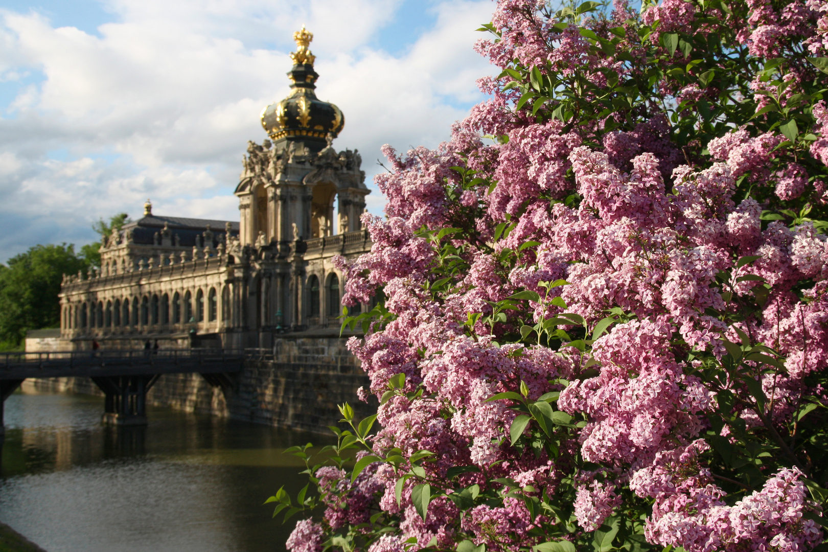 Frühling am Dresdner Zwinger