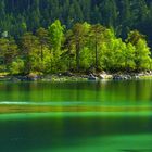 Frühling am Eibsee