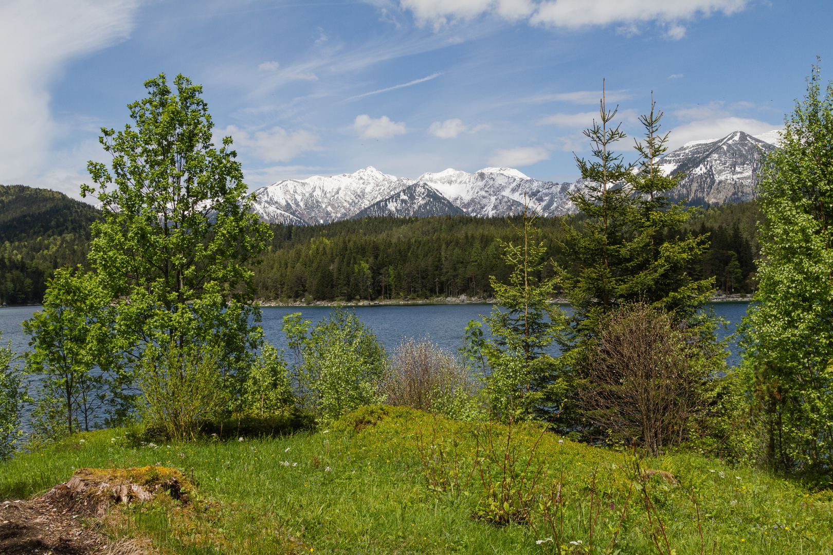 Frühling am Eibsee