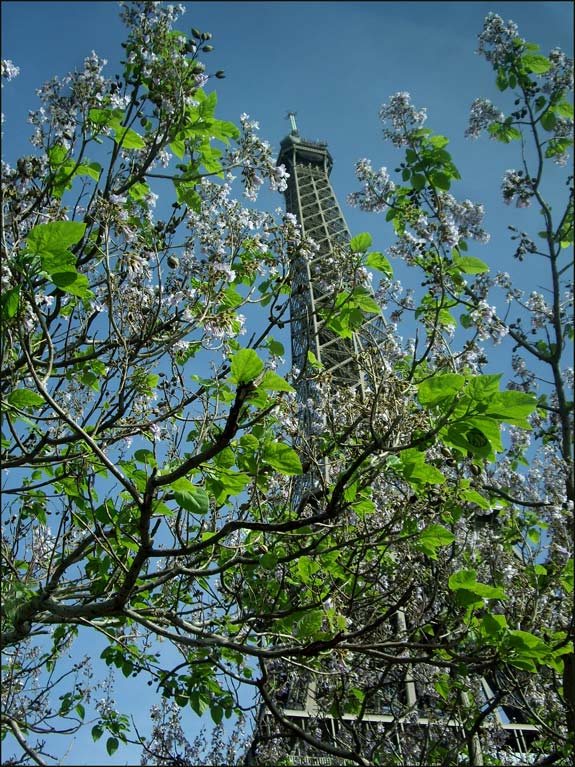 Frühling am Eiffelturm