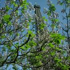 Frühling am Eiffelturm