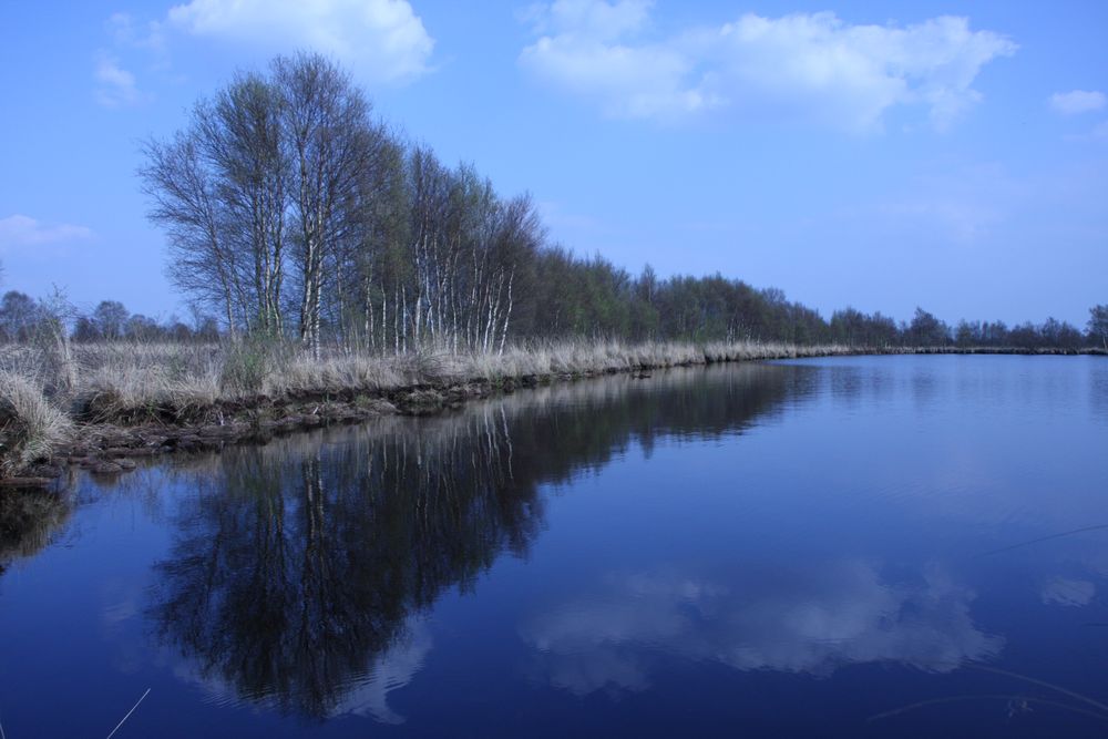 Frühling am "Ewigen Meer"