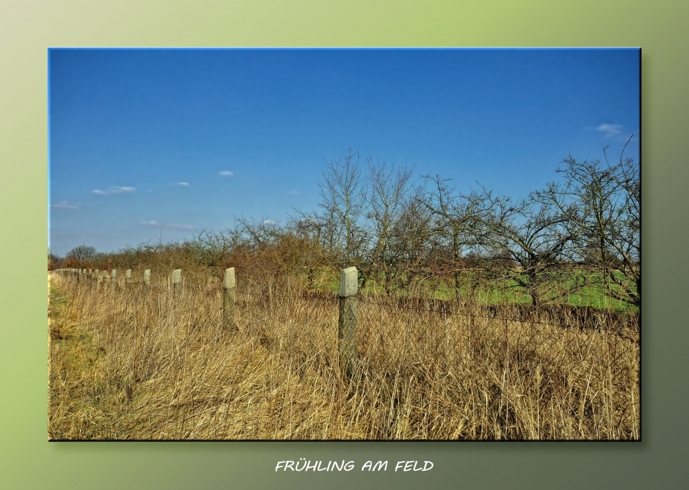 Frühling am Feld.....