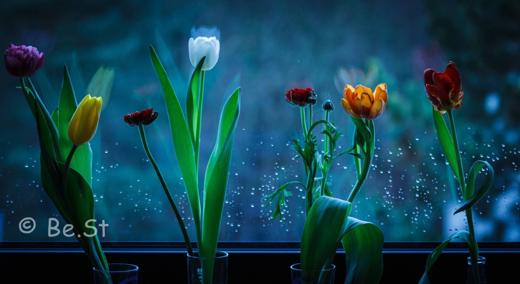 Frühling am Fensterbrett