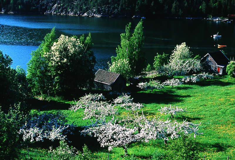 Frühling am Fjord