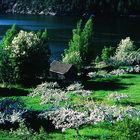 Frühling am Fjord