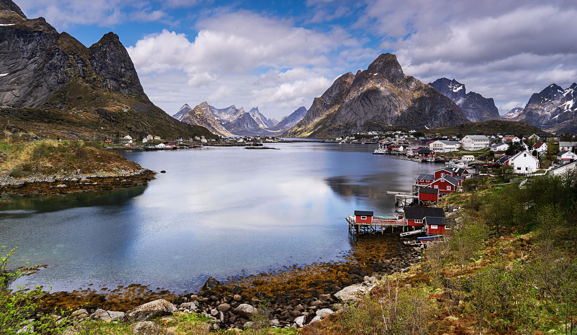 Frühling am Fjord