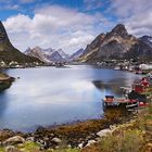 Frühling am Fjord