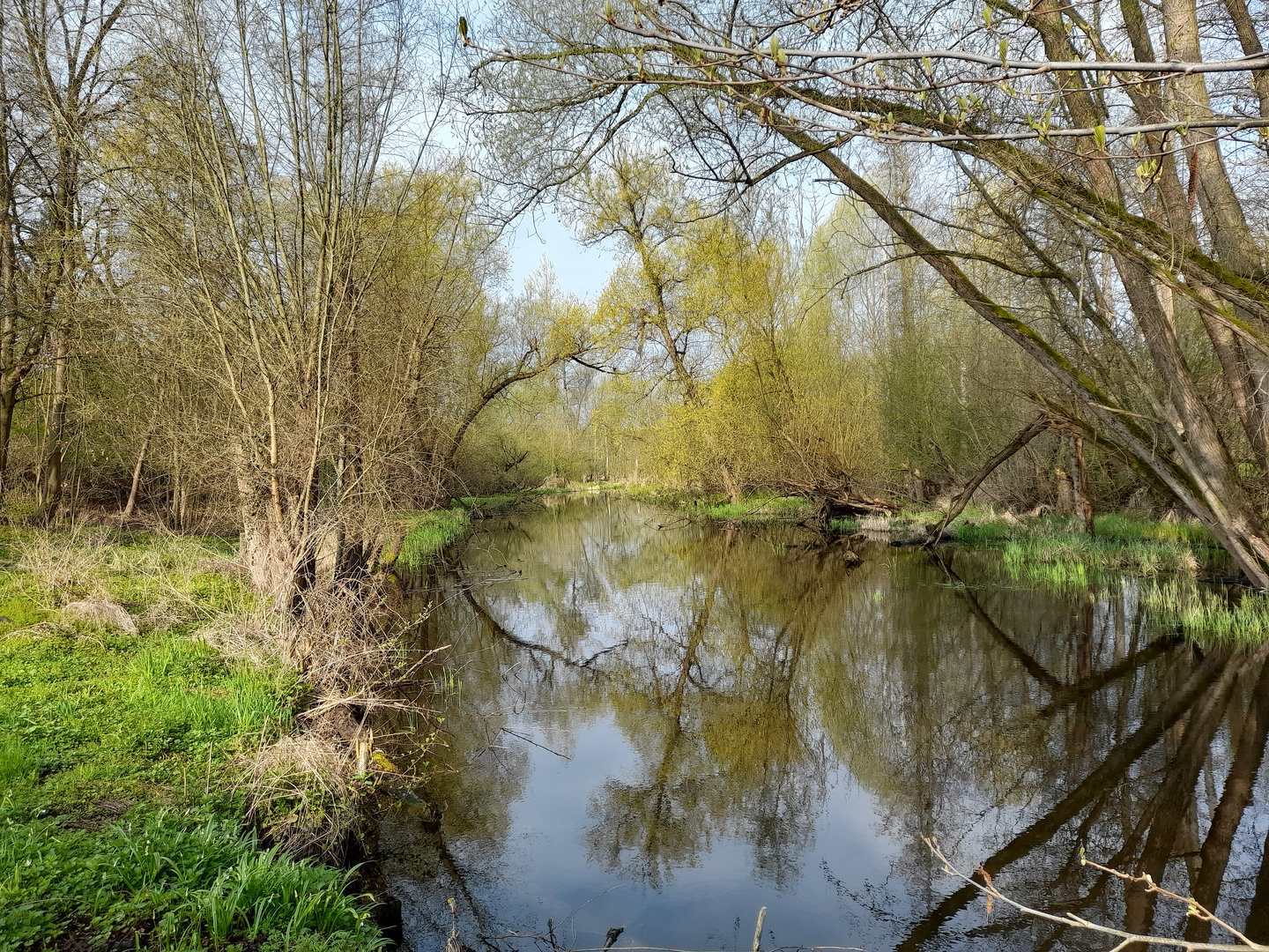 Frühling am Fließ