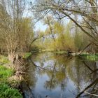 Frühling am Fließ