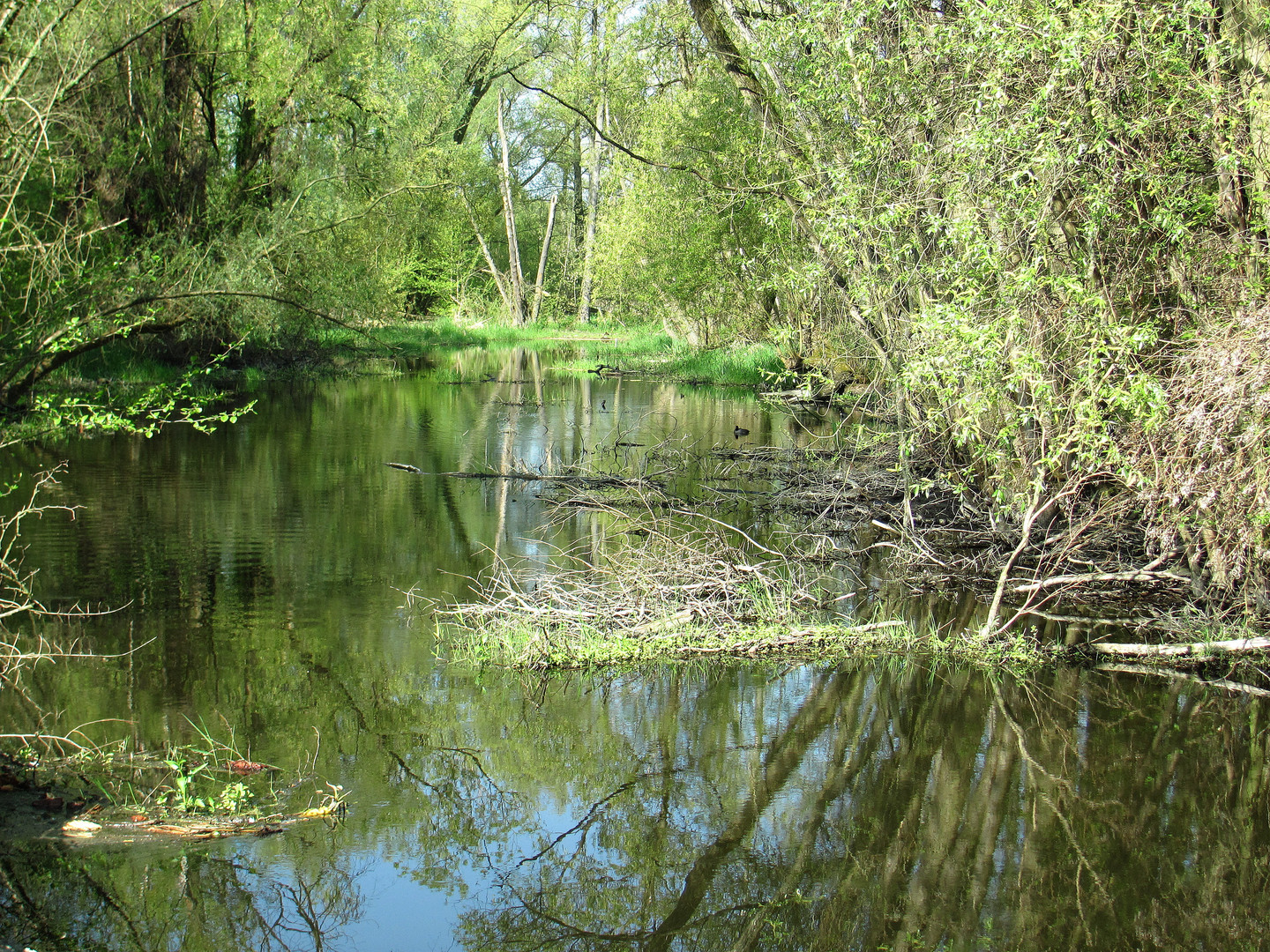 Frühling am Fließ III