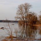 Frühling am Fluss...