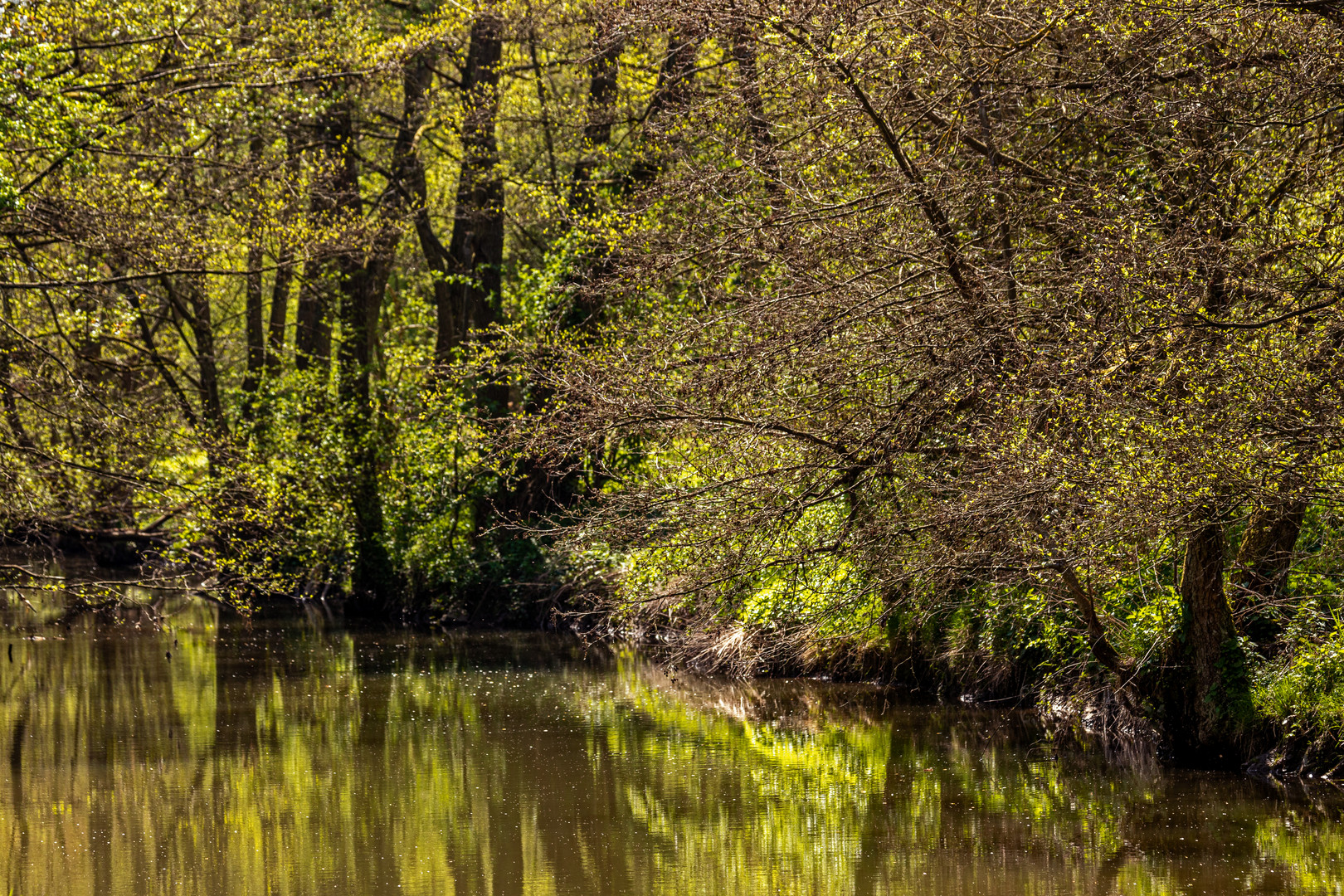 Frühling am Fluß