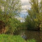 Frühling am Fluss