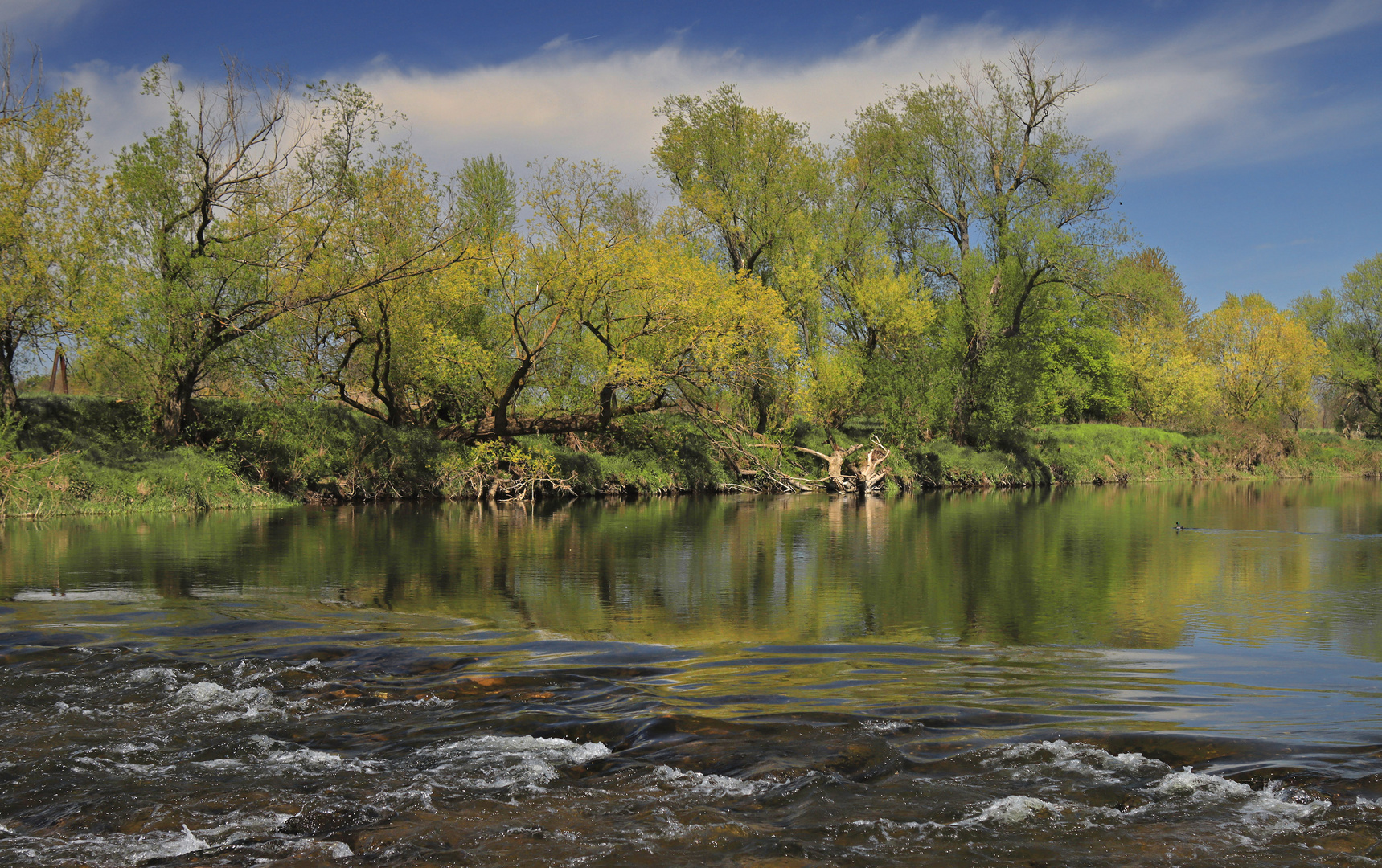 Frühling am Fluss