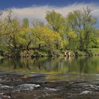 Frühling am Fluss