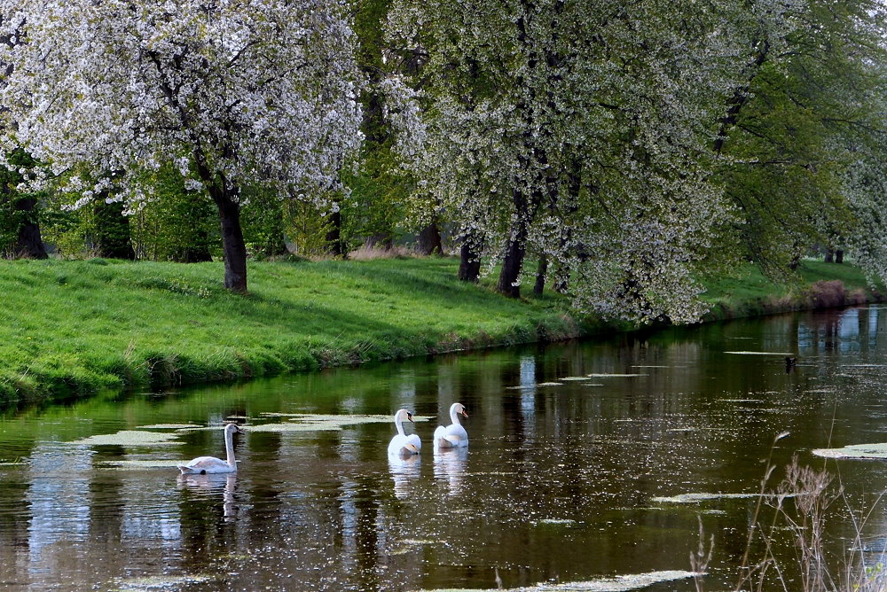 Frühling am Fluss