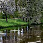 Frühling am Fluss