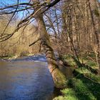 Frühling am Fluss