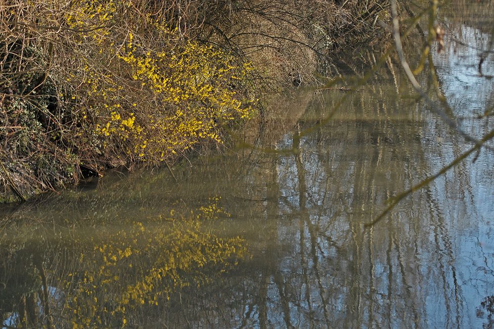 Frühling am Fluss