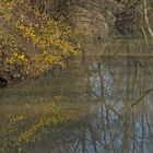 Frühling am Fluss