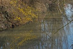 Frühling am Fluss