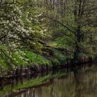 Frühling am Fluß