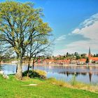 Frühling am Fluss