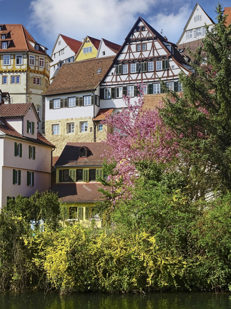 Frühling am Fluss