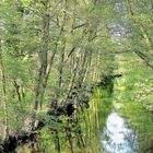 Frühling am Fluss