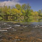 Frühling am Fluss