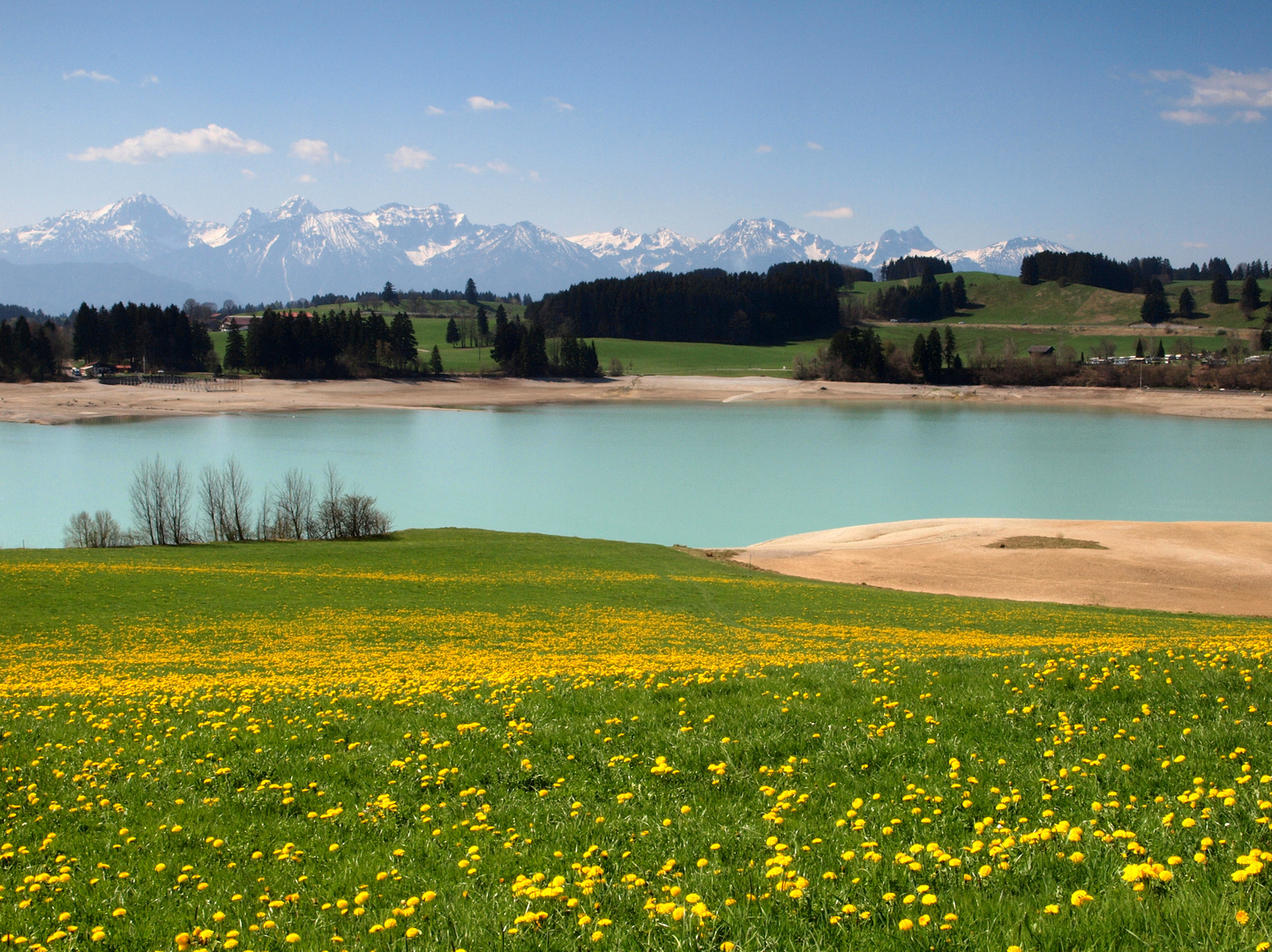 Frühling am Forggensee im Allgäu