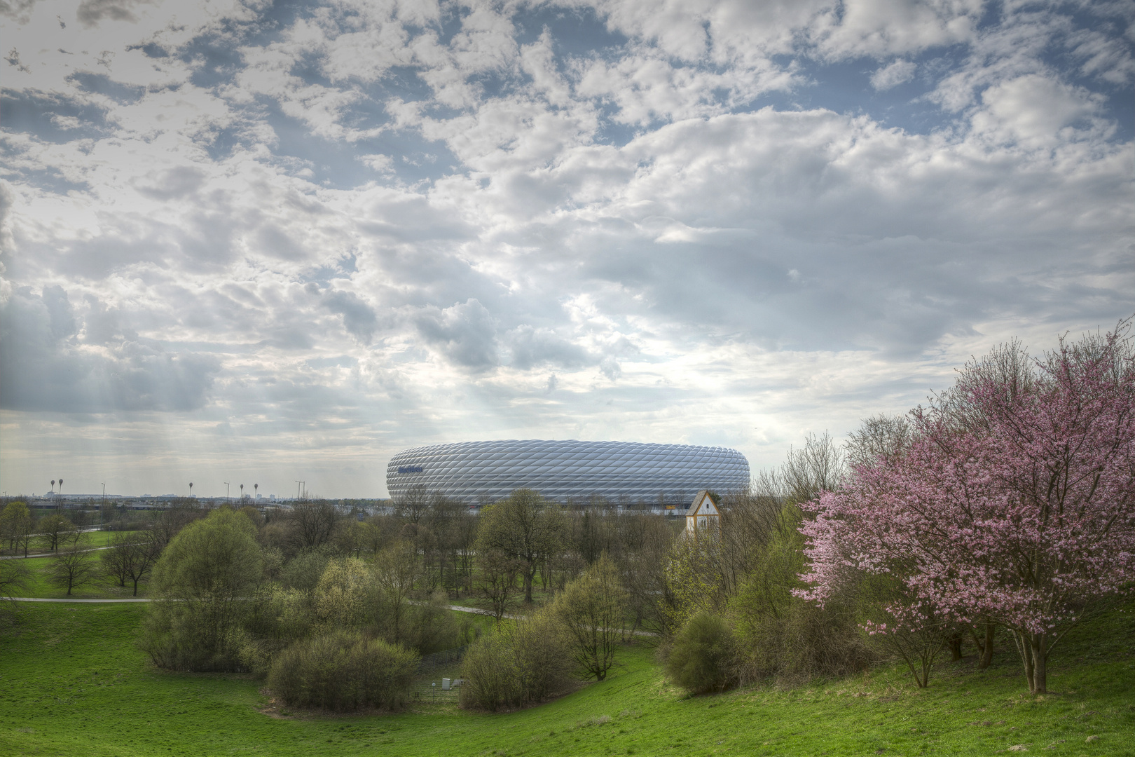 Frühling am Fröttmaninger Berg