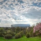 Frühling am Fröttmaninger Berg