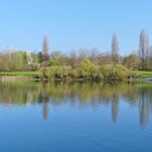 Frühling am Fühlinger See in Köln