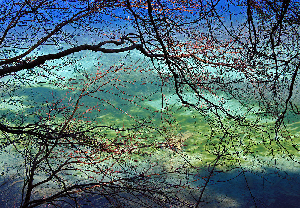 Frühling am Fuschlsee