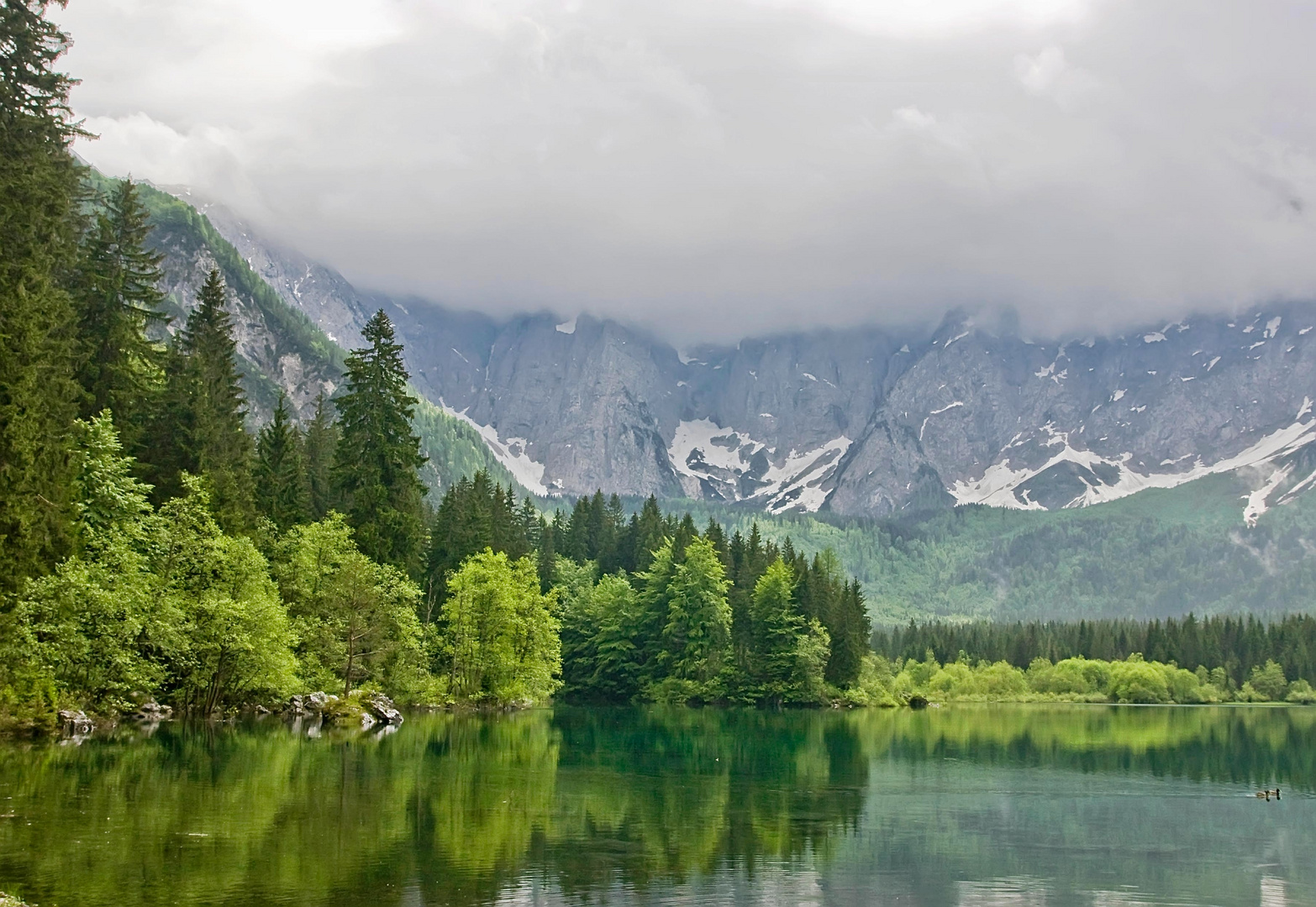 Frühling am Fusine - See