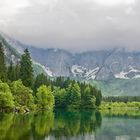 Frühling am Fusine - See