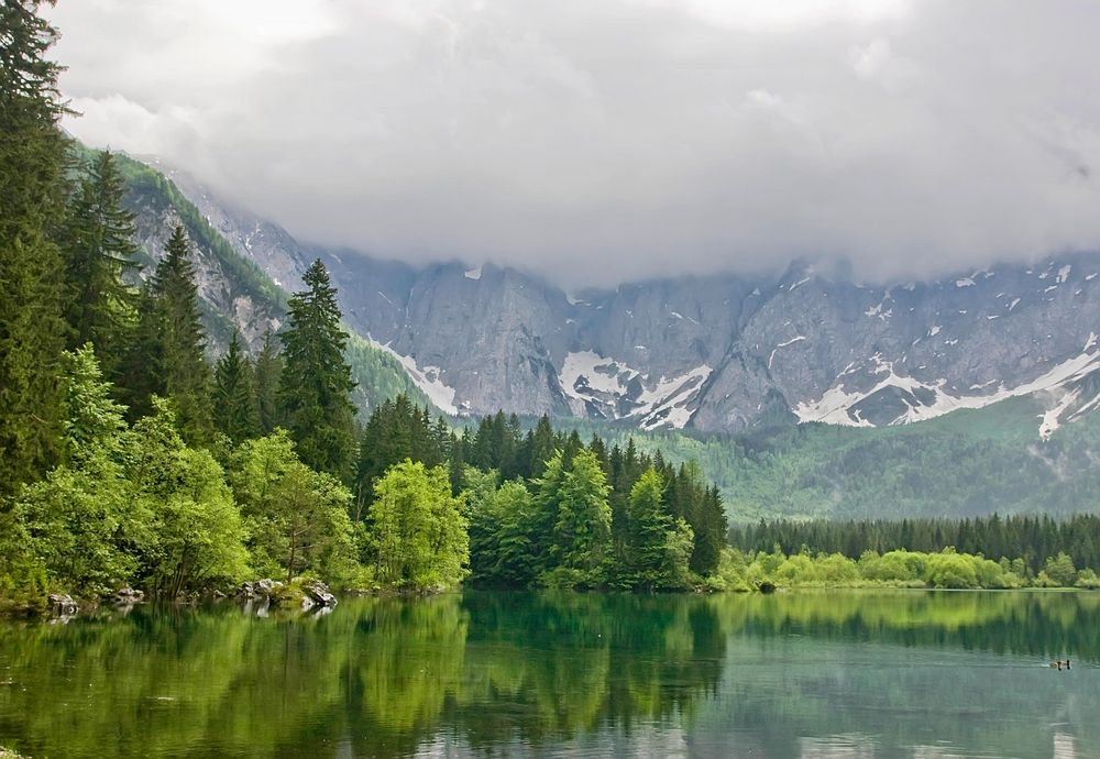 Frühling am Fusine - See