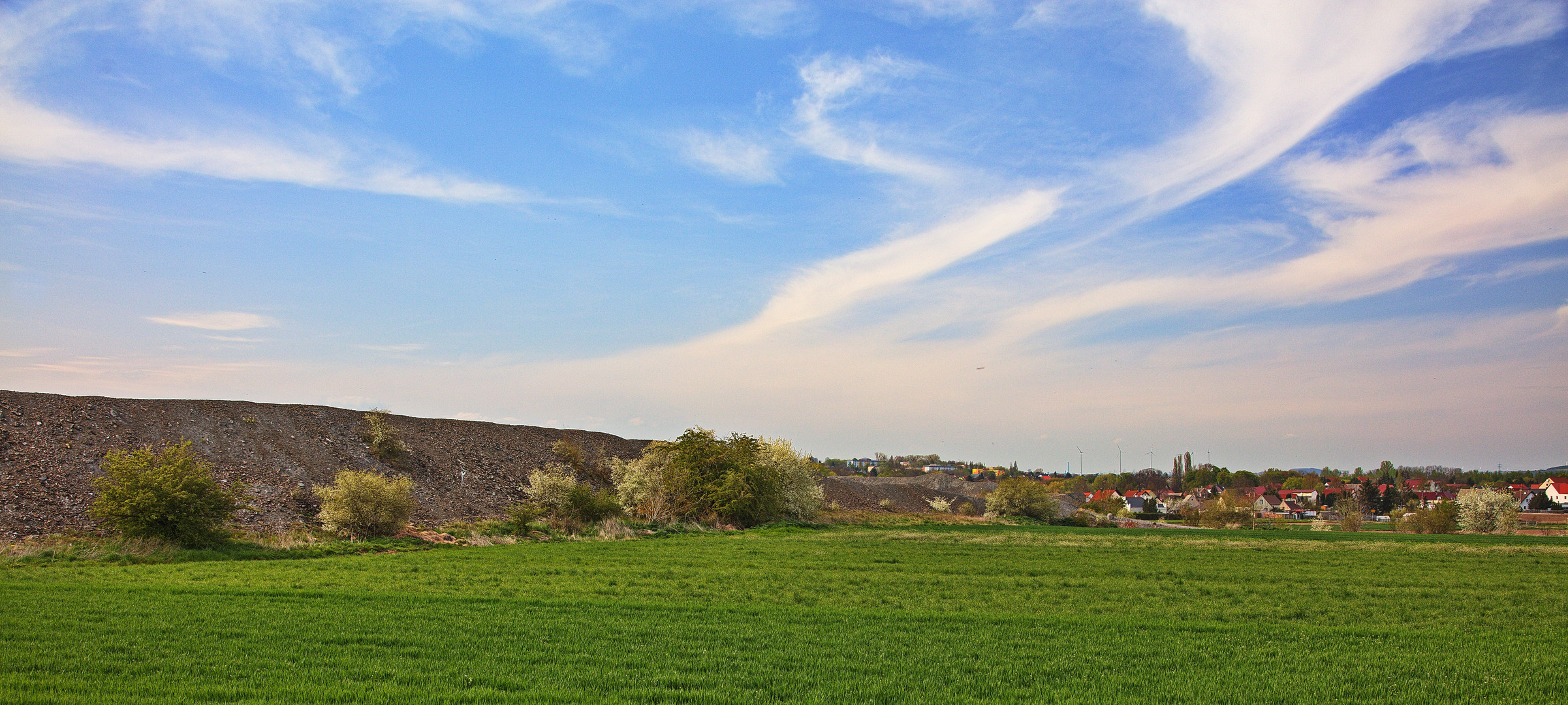 Frühling am Fuße der Mansfelder Kupferschiefer-Halden