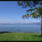 Frühling am Gardasee -2-